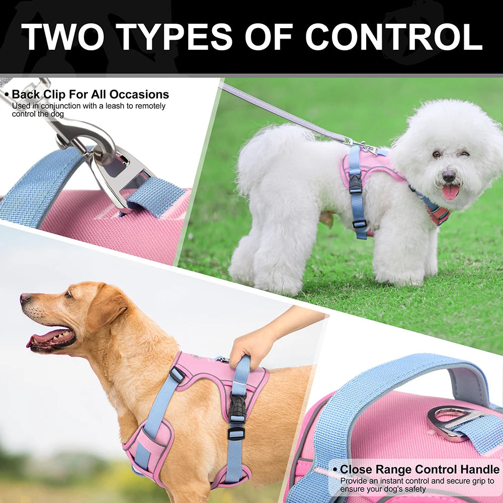 Harnais Respirant Anti-Traction – Sécurité & Confort Quotidien 🐶💛