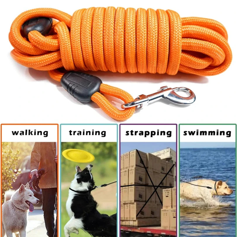 Laisse Corde d’Entraînement – Contrôle Souple & Rappel Parfait 🐶📏💛