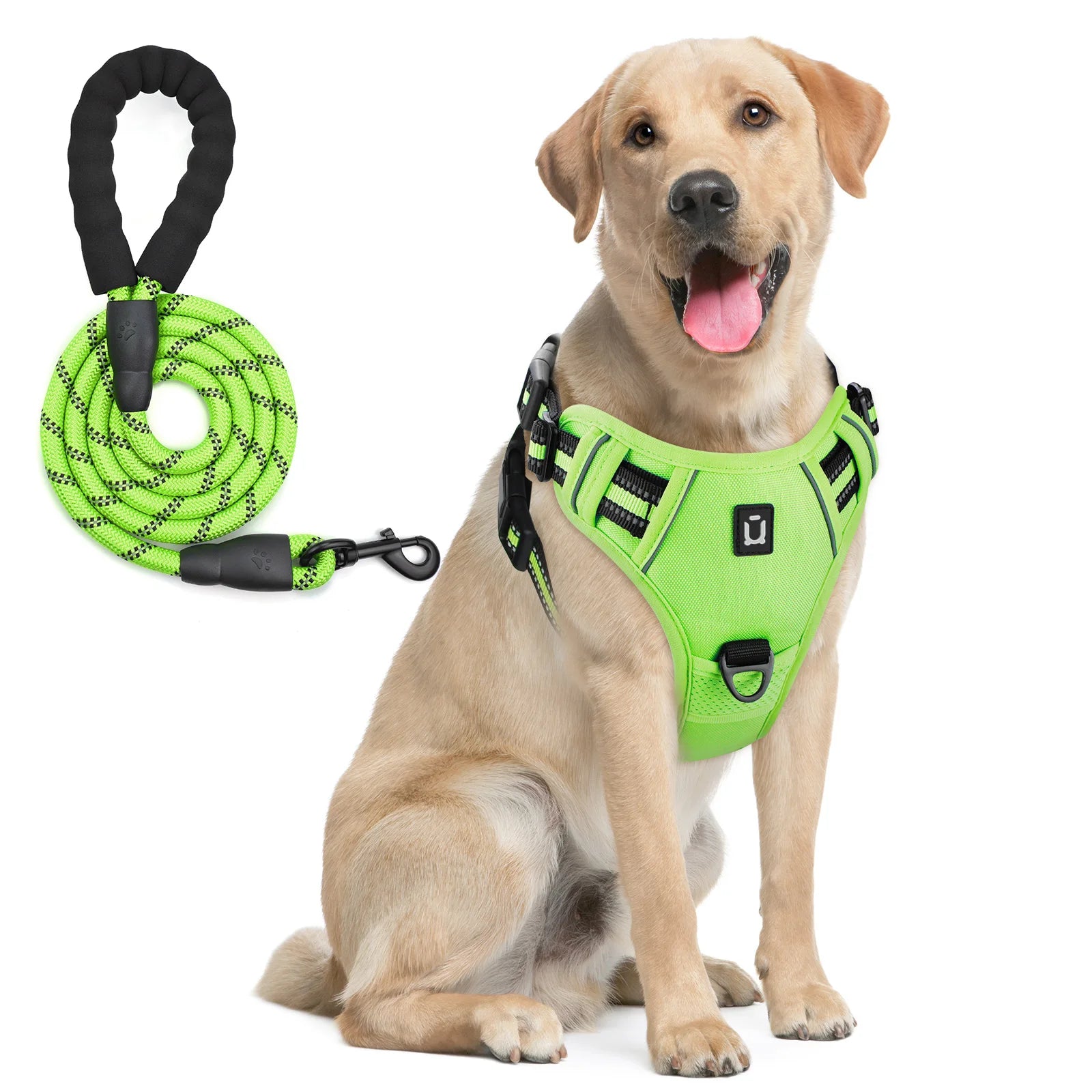 Anti-Pull Harness + 1.5 m Leash – Total Control & Comfort 🐶💛