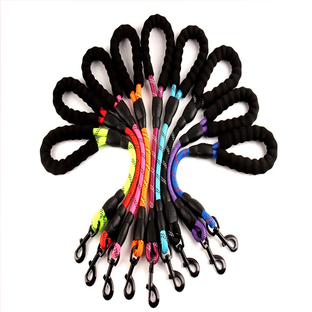 Reflective Bungee Leash – Comfort & Shock-Free Control 🐶💛