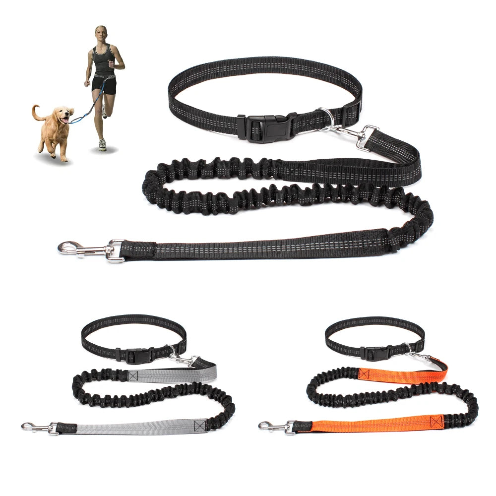 Comfort+ Hands-Free Leash for Dogs – Shock-Absorbing, Reflective & Adjustable 🐶🏃‍♂️💛