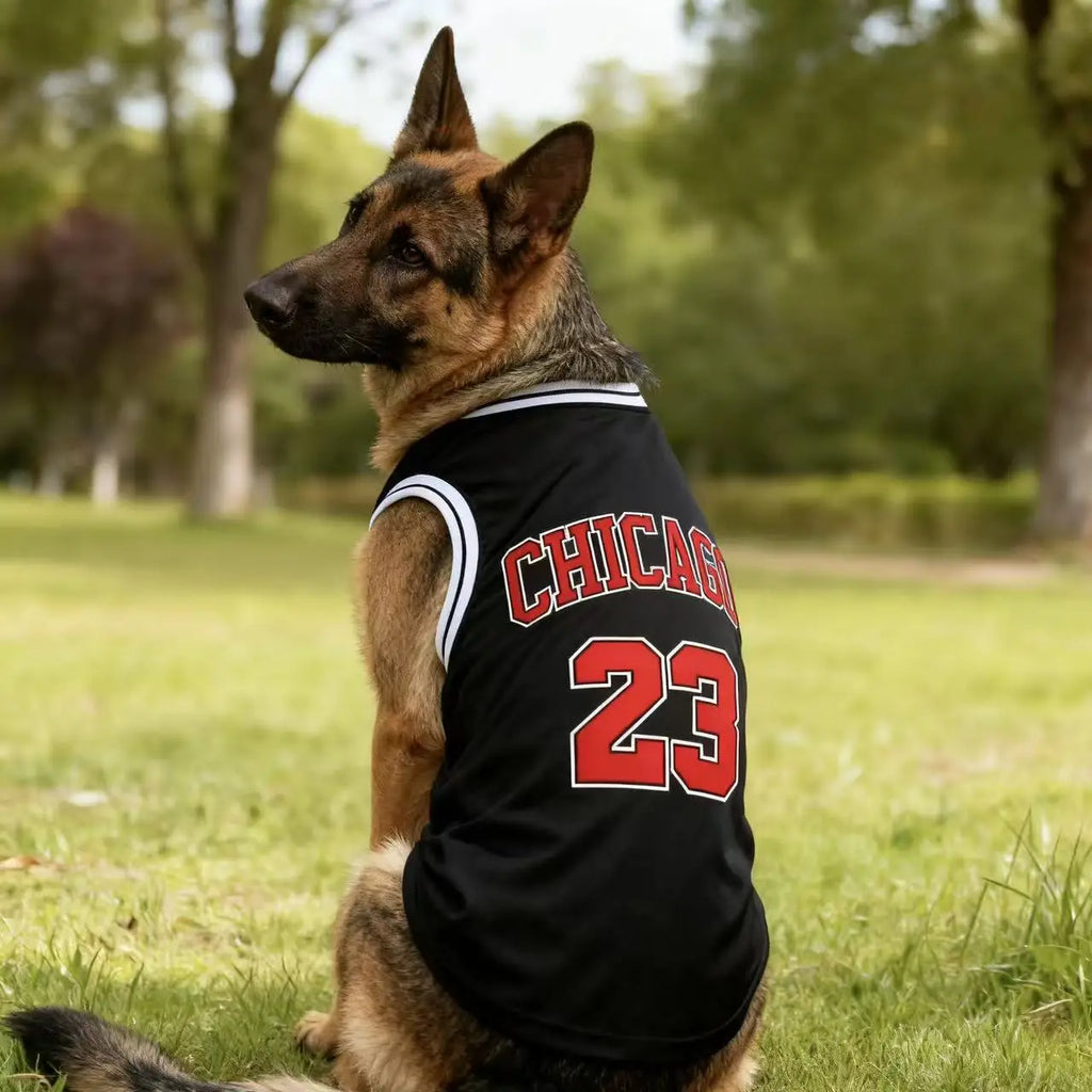 Jersey Basket Chicago – Style Urbain & Fraîcheur Été 🏀🐶