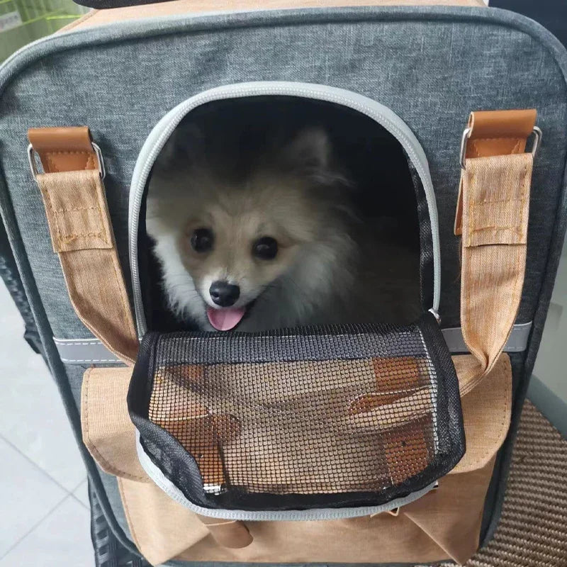 Sac à Dos Respirant Confort+ – Transport Sécurisé pour Petits Chiens 🐶💛