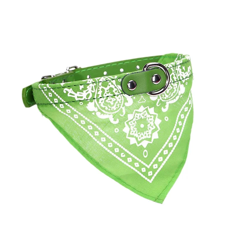 Elegant Collar with Scarf for Dogs & Cats