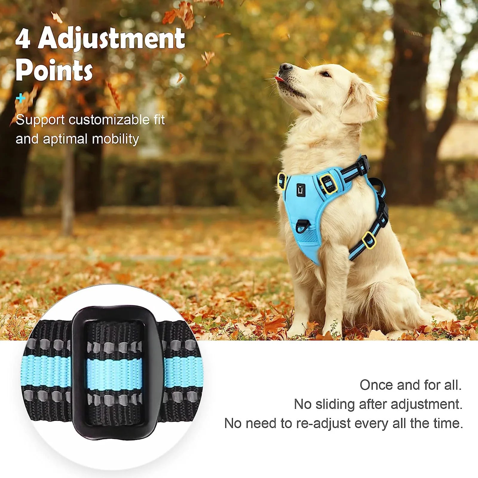 Padded No-Pull Harness – Optimal Control & Comfort 🐶💛