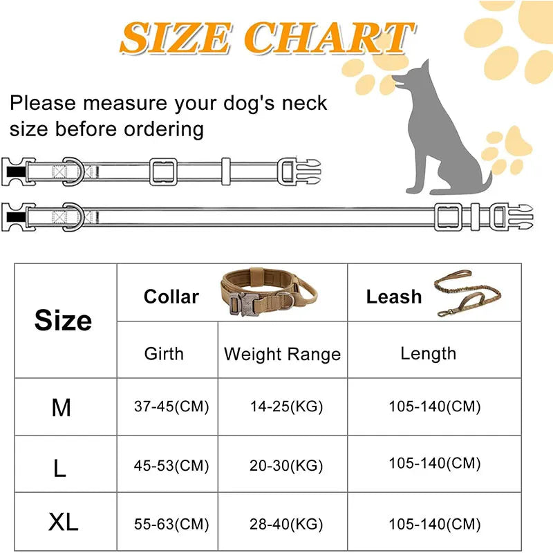 Collier Tactique Sport en Nylon – Contrôle & Résistance Optimale 🐕💪