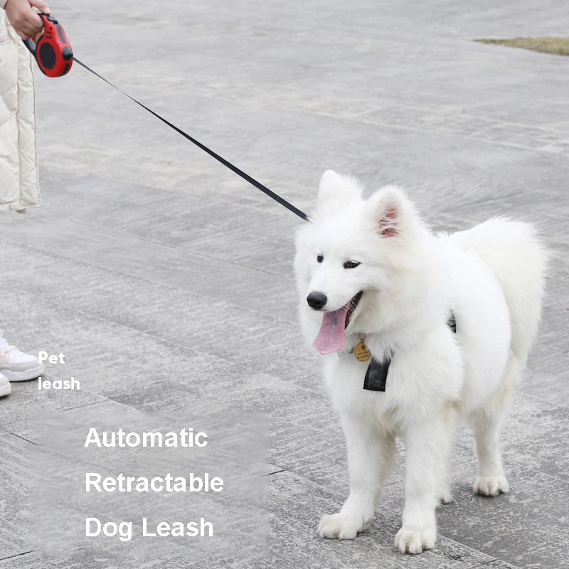 Laisse Rétractable Confort+ – Liberté & Contrôle en Toute Simplicité 🐶💛