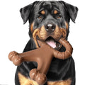 Os Dentaire Saveur Bœuf – Mastication & Dents Propres 🦴🐶💛