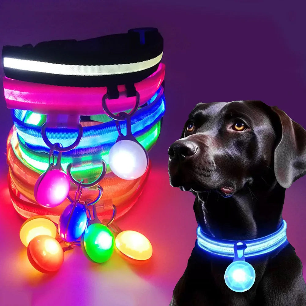 Rechargeable LED Collar – Night Visibility & Safety 🌙✨