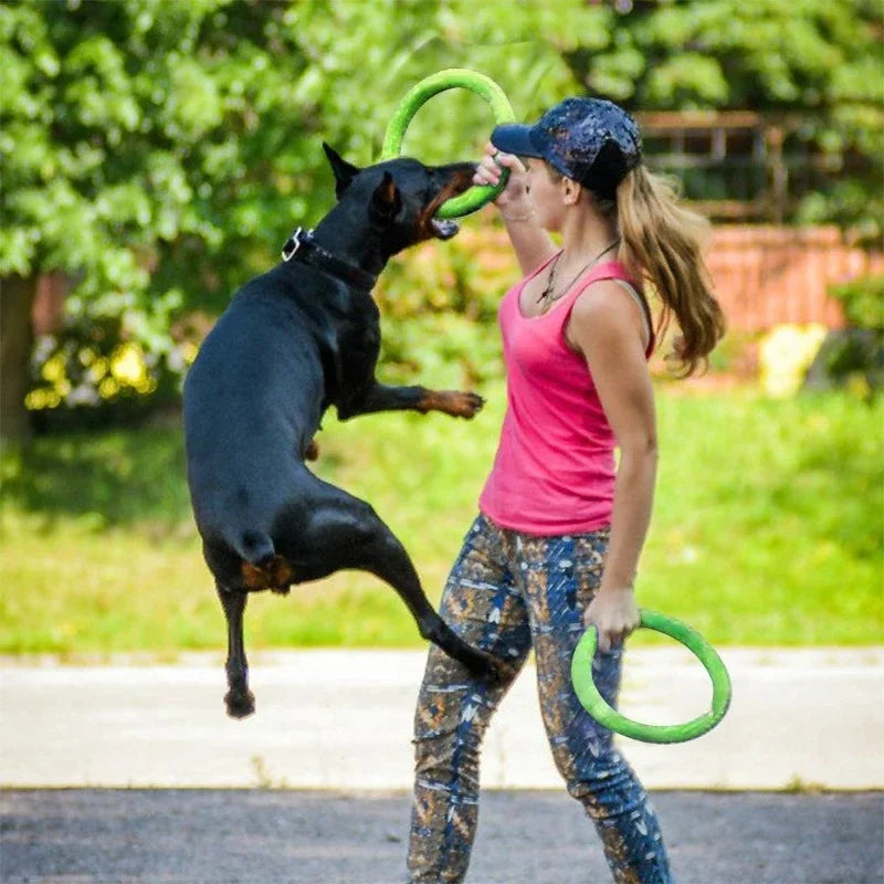 Disque Volant Flottant pour Chiens – Jeu Interactif