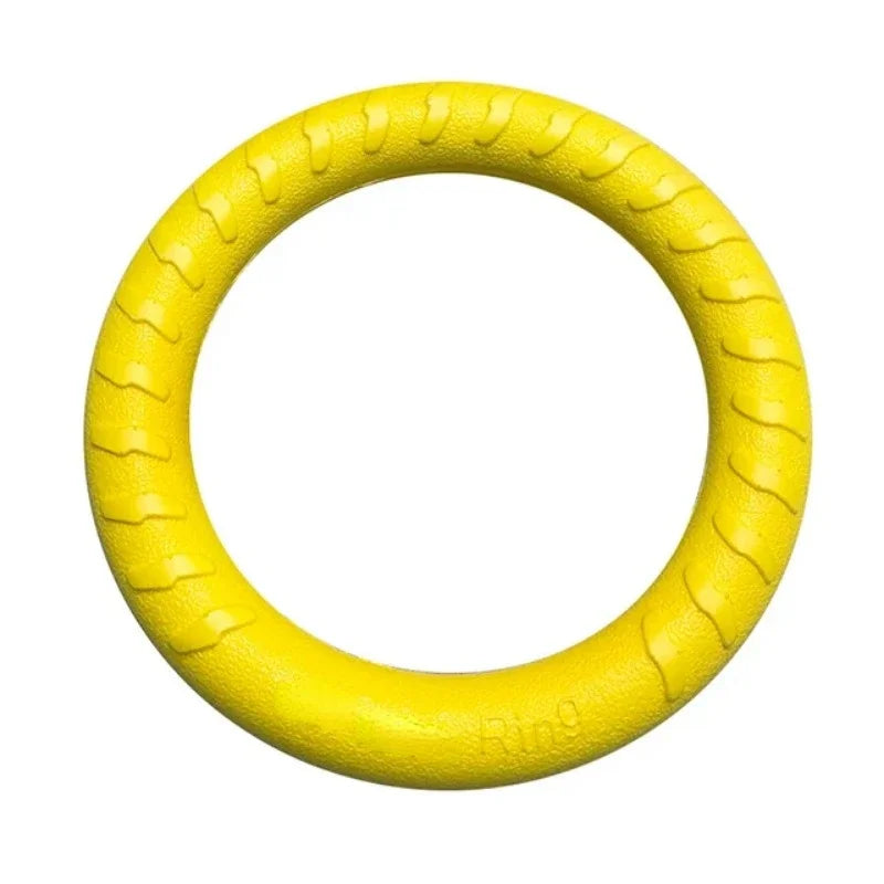 Disque Volant Flottant pour Chiens – Jeu Interactif