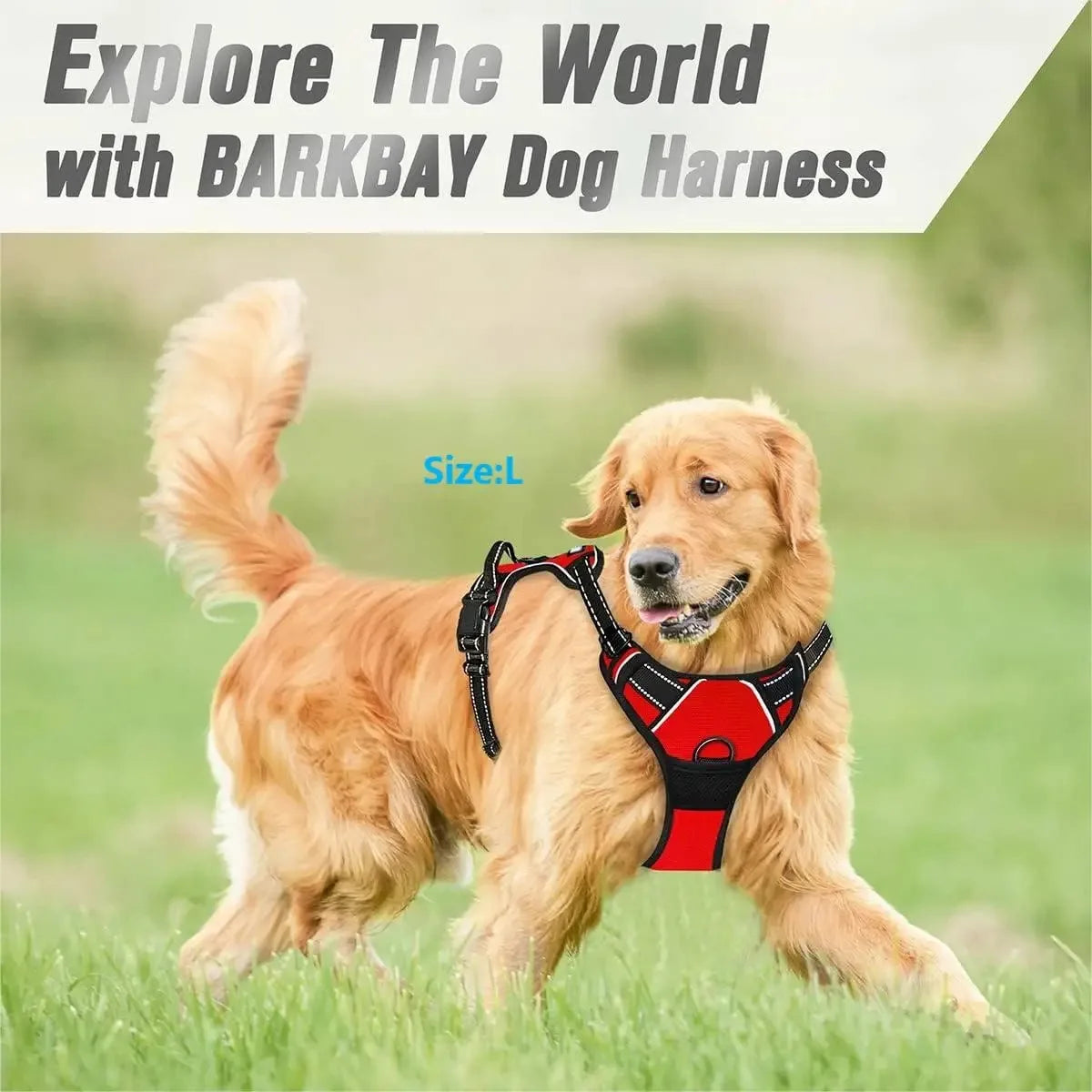 Premium Harness Vest – Absolute Comfort & Superior Quality ⭐⭐⭐⭐⭐