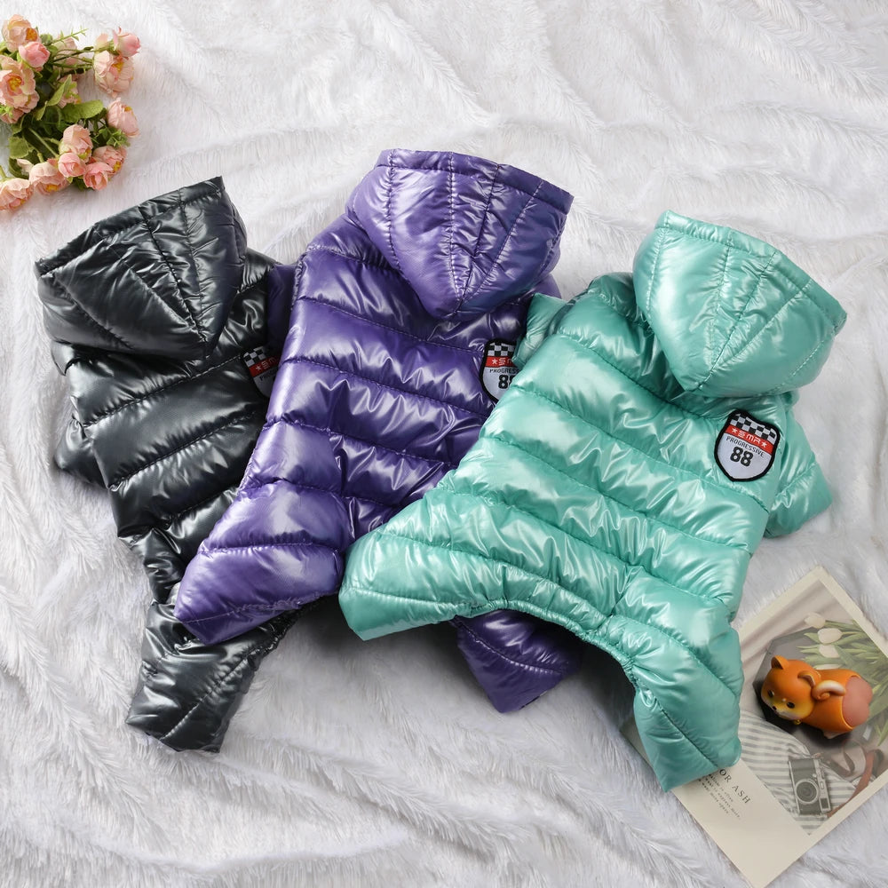 Waterproof Winter Jumpsuit – Warmth & Total Protection ❄️🐶💛