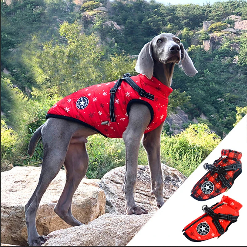 Manteau d’Hiver Imperméable pour Chien – Chaleur & Protection avec Harnais Intégré