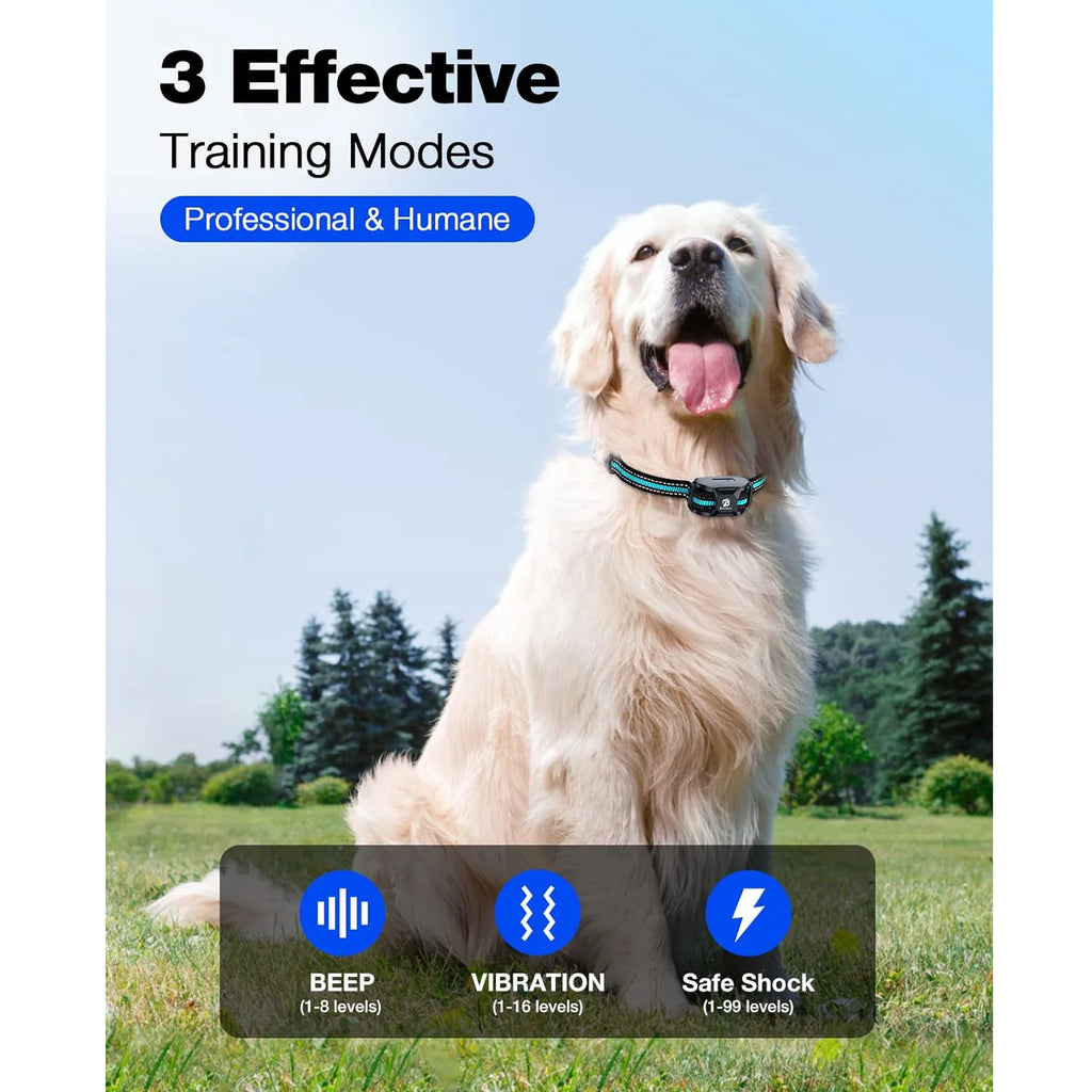 Collier de Dressage Intelligent – Contrôle à Distance & Éducation Douce 🐶💛