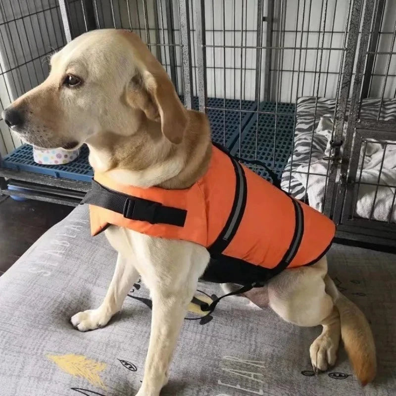 Veste de Flottaison Sécurisée – Sécurité & Fun Aquatique 🌊🐶