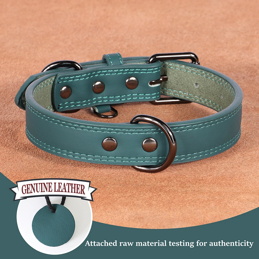 Leather Dog Collar – Premium Elegance & Comfort 🖤🐶