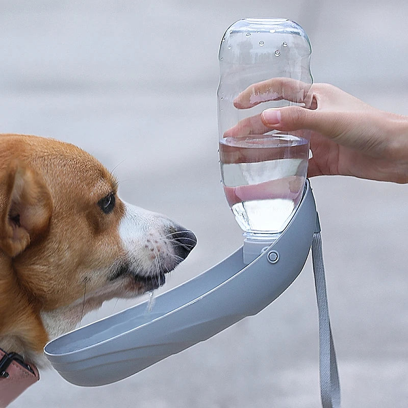 Portable Foldable Bottle – Easy Hydration Anywhere 🐶💧