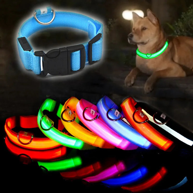 USB Rechargeable LED Collar – Maximum Visibility & Night Safety