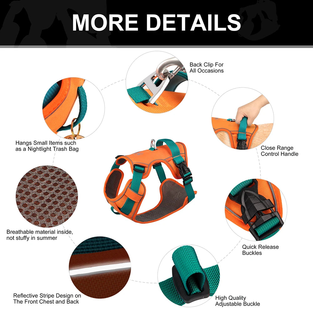 Breathable Anti-Pull Harness – Daily Safety & Comfort 🐶💛