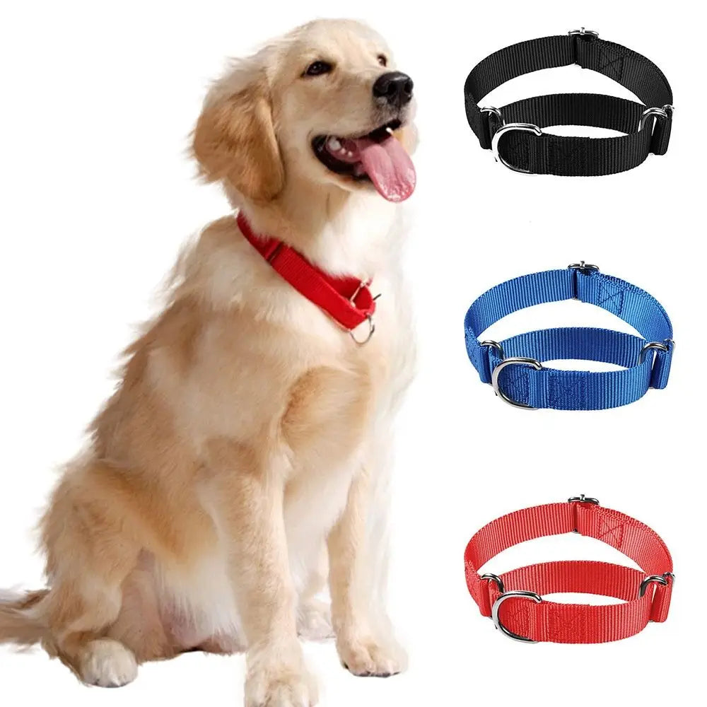 Collier Anti-Fugue Martingale – Contrôle Doux & Sécurité Totale 🐶💛