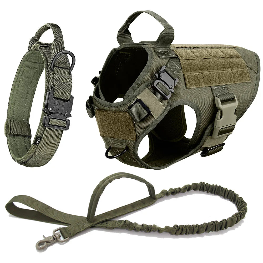 Pro Tactical Harness + Leash – Absolute Power & Control 🐶💛
