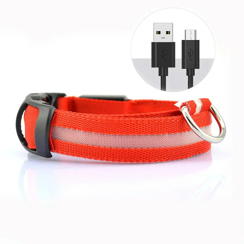 USB Rechargeable LED Collar – Maximum Visibility & Night Safety