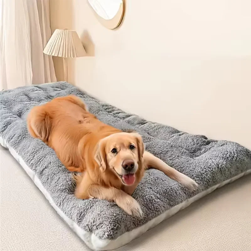 Lit Douillet Confort+ – Ultra Moelleux & Chaleur Apaisante 🐶🛏️💛