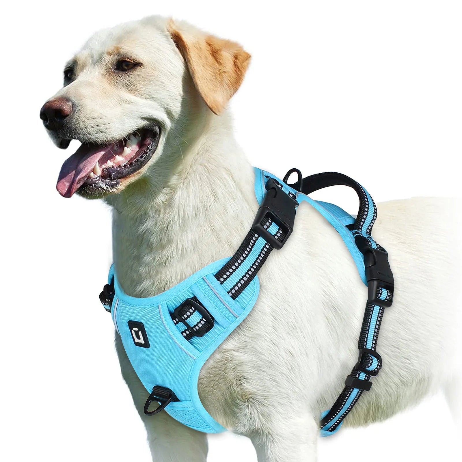 Padded No-Pull Harness – Optimal Control & Comfort 🐶💛