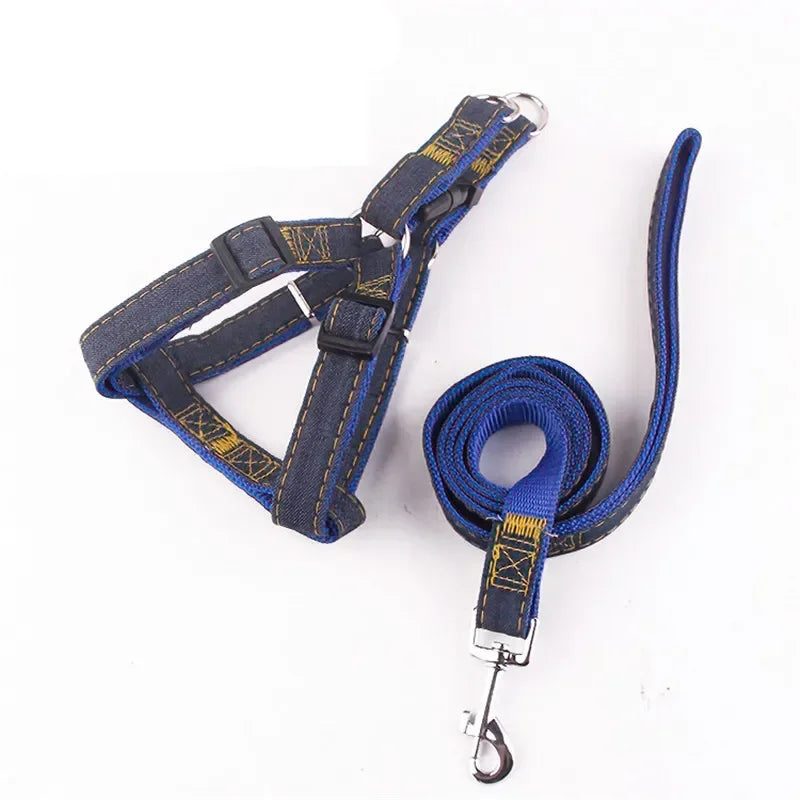 Ensemble Harnais Jean – Style Urbain & Confort 🐶👖💛