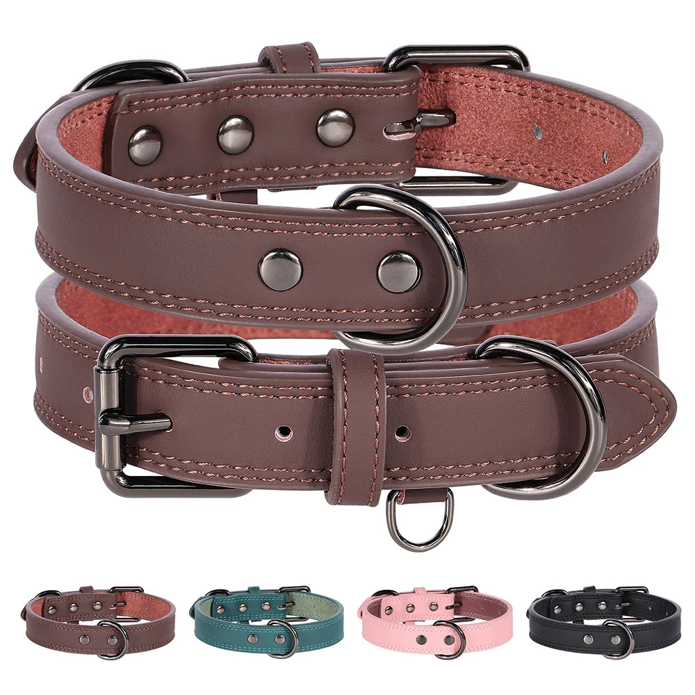 Collier en Cuir pour Chien – Élégance & Confort Premium 🖤🐶