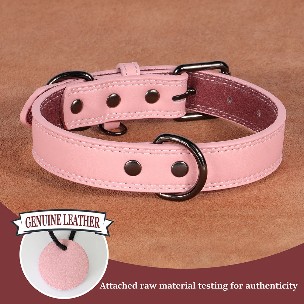 Collier en Cuir pour Chien – Élégance & Confort Premium 🖤🐶