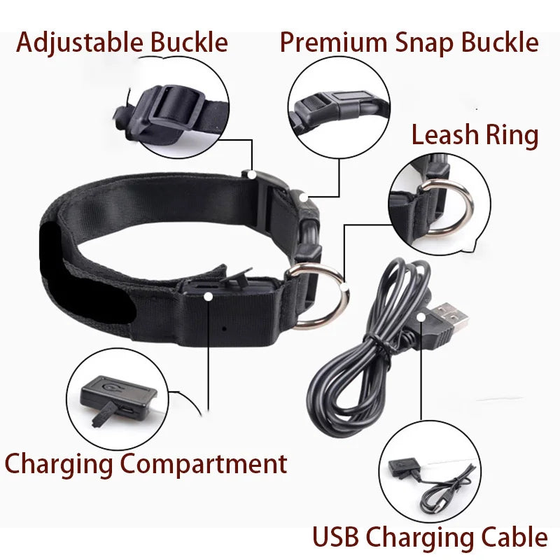 Collier LED Rechargeable USB – Visibilité Maximale & Sécurité Nocturne