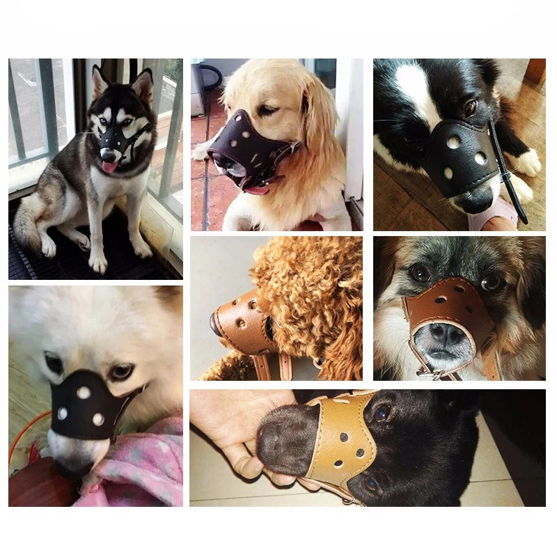 Museau Cuir Souple – Sécurité & Confort Premium 🐶🛑💛