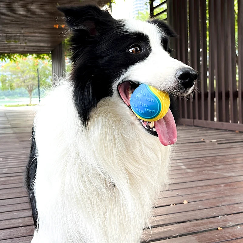 Balle Interactive pour Chien – Jeu Actif & Nettoyage des Dents 🐾🦷