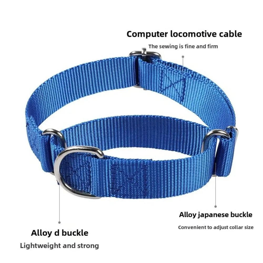 Collier Anti-Fugue Martingale – Contrôle Doux & Sécurité Totale 🐶💛