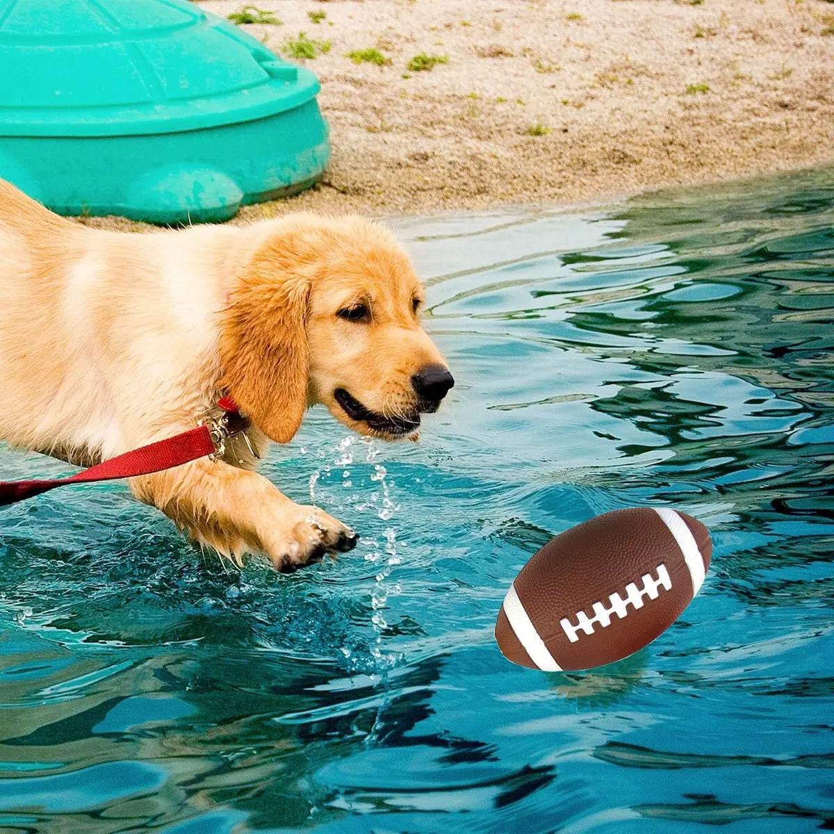 Floating Football - Extreme Play & Pure Energy 🏈🐶💛