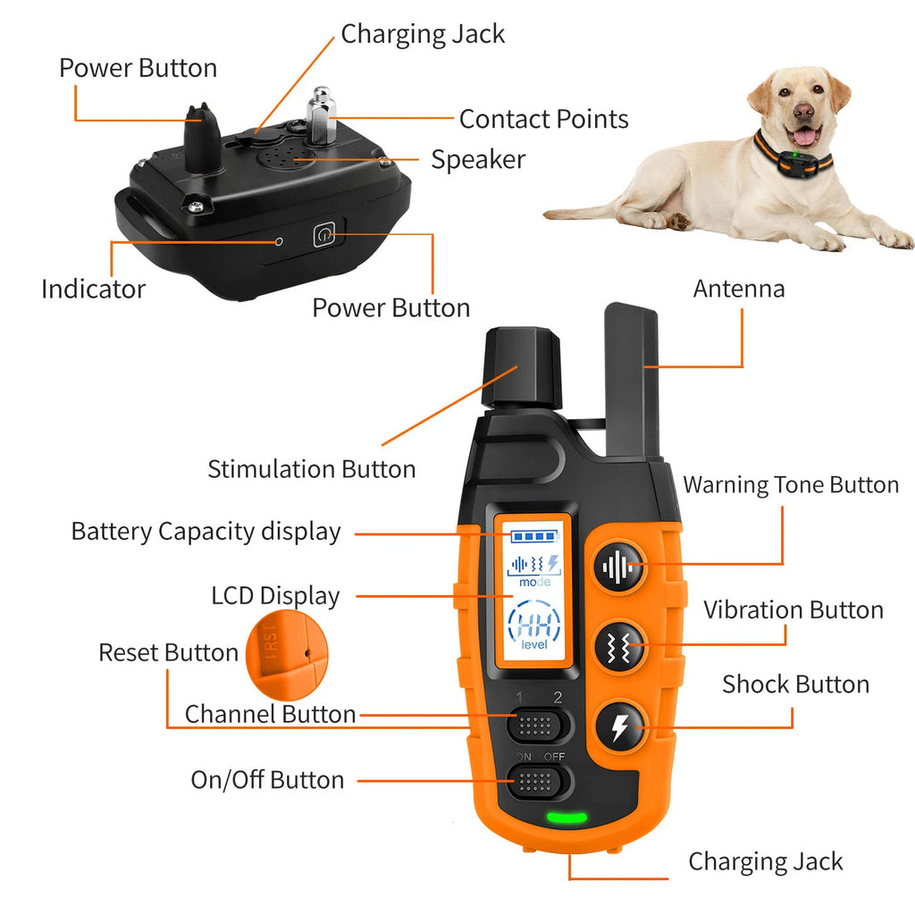 Collier de Dressage Longue Portée – Contrôle à Distance & Éducation Douce 📡🐶💛