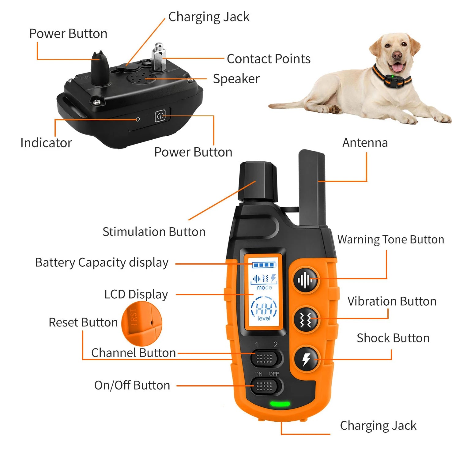 Collier de Dressage Longue Portée – Contrôle à Distance & Éducation Douce 📡🐶💛