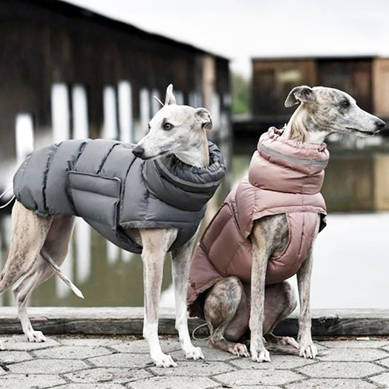 Windproof Winter Dog Jacket – Ultra Warm & Comfortable
