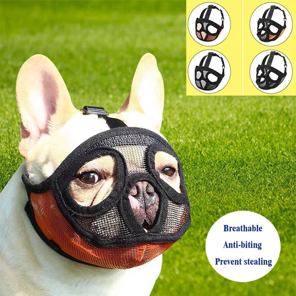 Museau Confort Spécial Museau Court – Sécurité & Respiration Optimale 🐶🛑💛