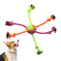 Jouet Corde Mini Résistant – Jeu & Santé Dentaire 🐶🪢💛