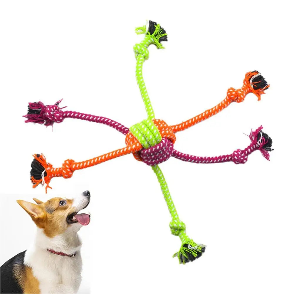 Jouet Corde Mini Résistant – Jeu & Santé Dentaire 🐶🪢💛