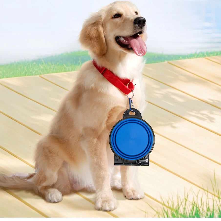 2-in-1 Foldable Double Bowl – Travel & Maximum Practicality 🥣🐶💛