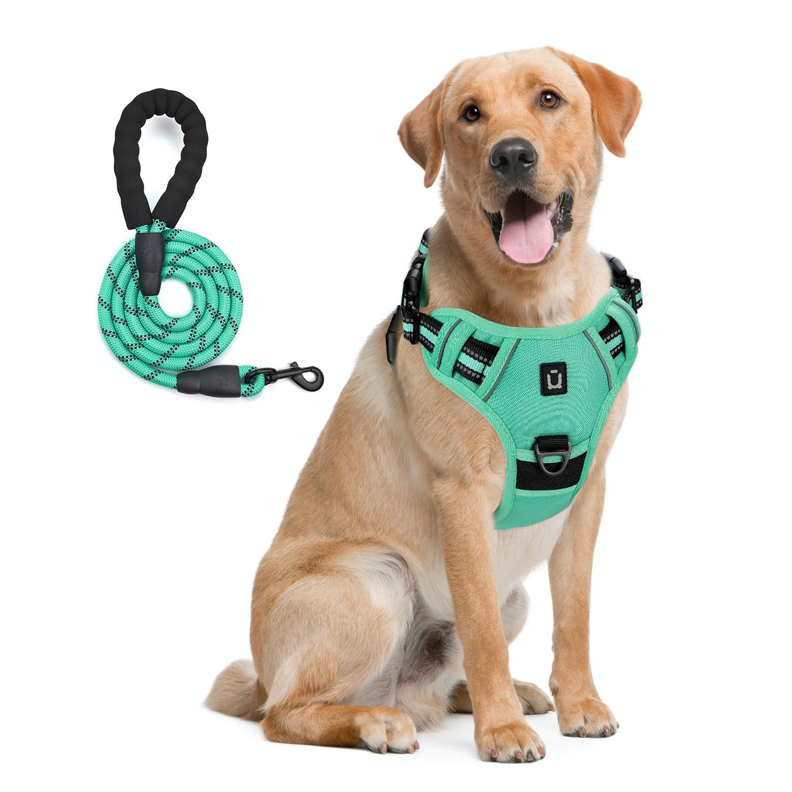 Anti-Pull Harness + 1.5 m Leash – Total Control & Comfort 🐶💛