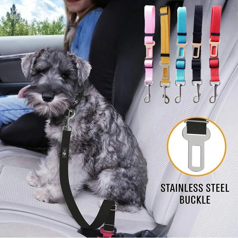Car Safety Belt – Protection & Comfort in the Car 🚗🐶💛