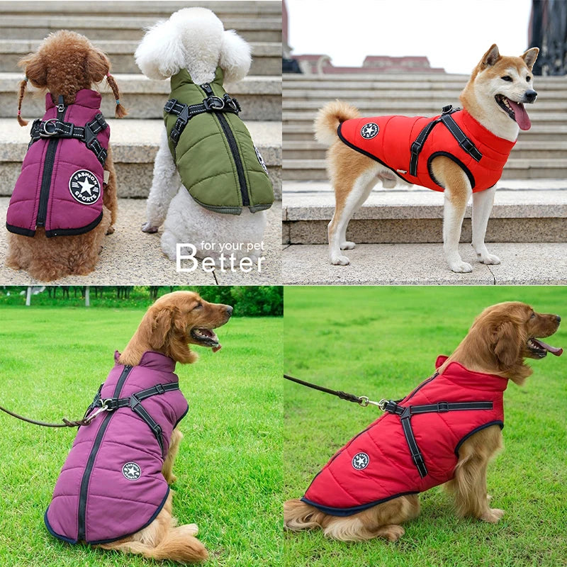 Manteau d’Hiver Imperméable pour Chien – Chaleur & Protection avec Harnais Intégré