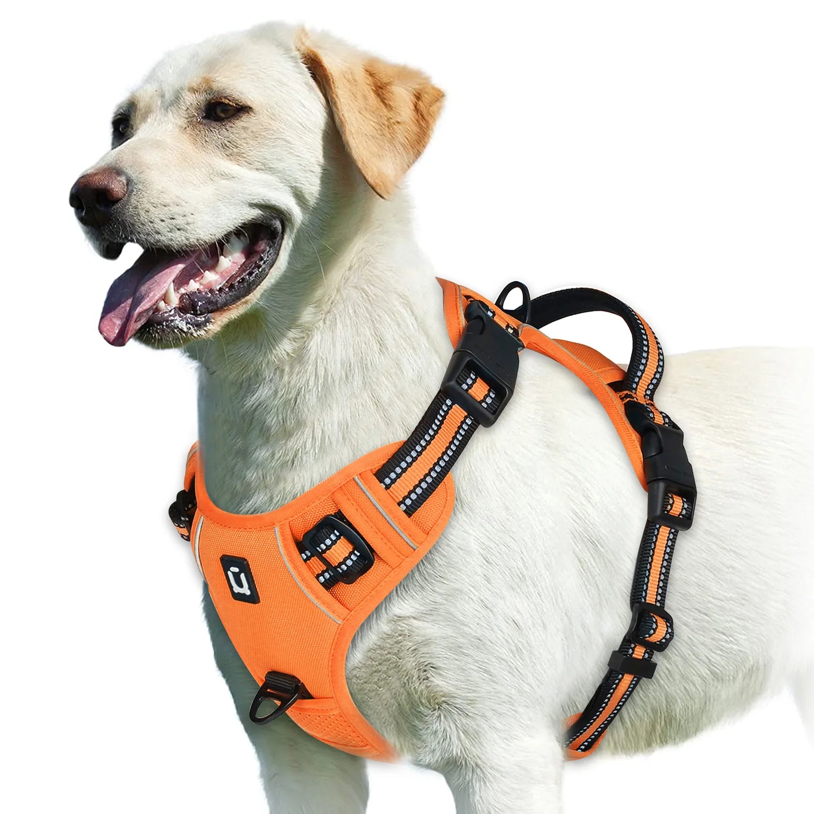Padded No-Pull Harness – Optimal Control & Comfort 🐶💛