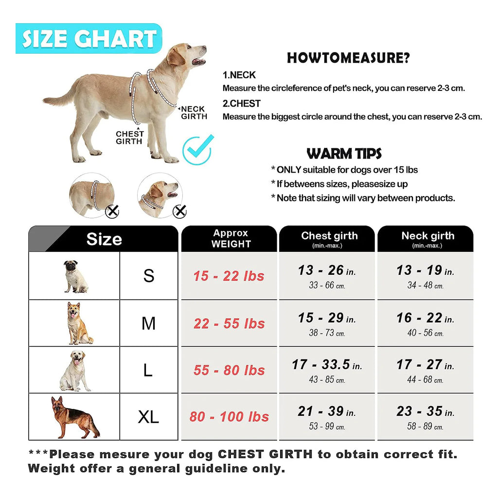Harnais Anti-Traction + Laisse 1.5 m – Contrôle & Confort Total 🐶💛