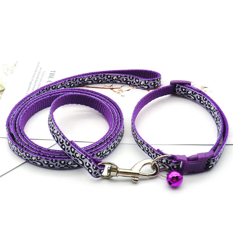 Leash & Collar Set – Everyday Style & Safety 🐶🎀💛
